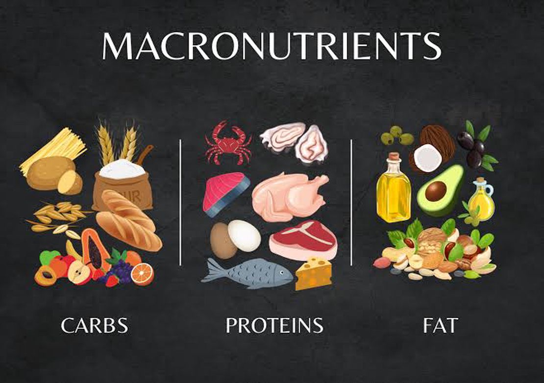 How to Balance Macronutrients: A Complete Guide to Protein, Carbohydrates, and Fats